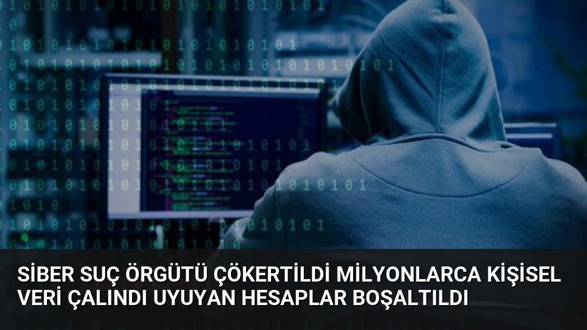 Siber Suç Örgütü Çökertildi Milyonlarca Kişisel Veri Çalındı Uyuyan Hesaplar Boşaltıldı