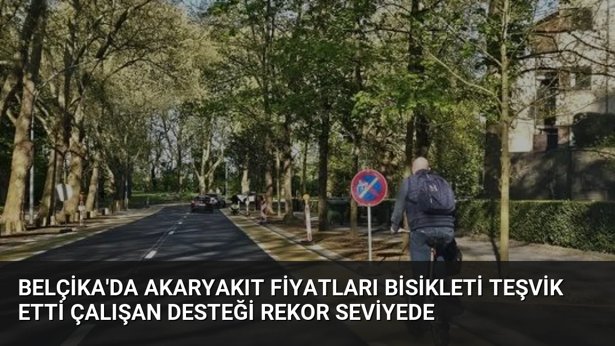 Belçika’da Akaryakıt Fiyatları Bisikleti Teşvik Etti Çalışan Desteği Rekor Seviyede