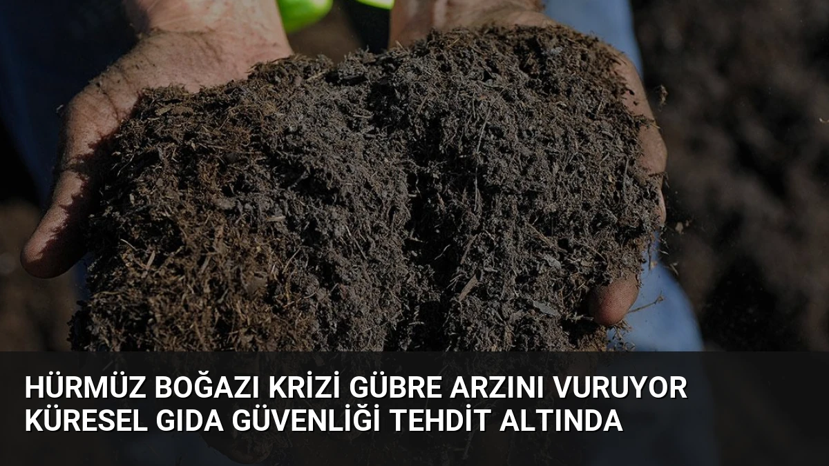 Hürmüz Boğazı Krizi Gübre Arzını Vuruyor Küresel Gıda Güvenliği Tehdit Altında