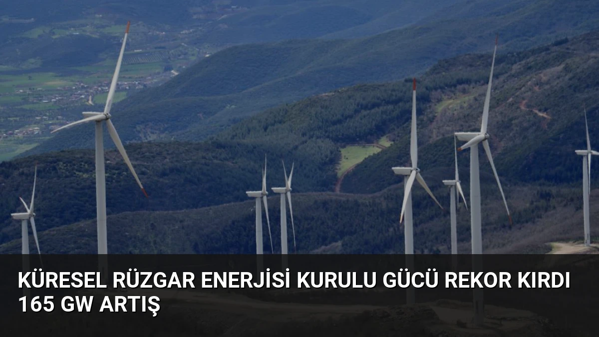 Küresel Rüzgar Enerjisi Kurulu Gücü Rekor Kırdı 165 GW Artış