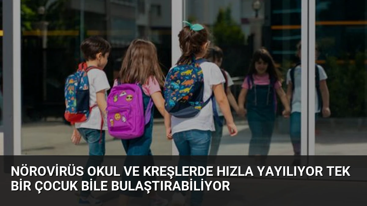 Nörovirüs Okul ve Kreşlerde Hızla Yayılıyor Tek Bir Çocuk Bile Bulaştırabiliyor