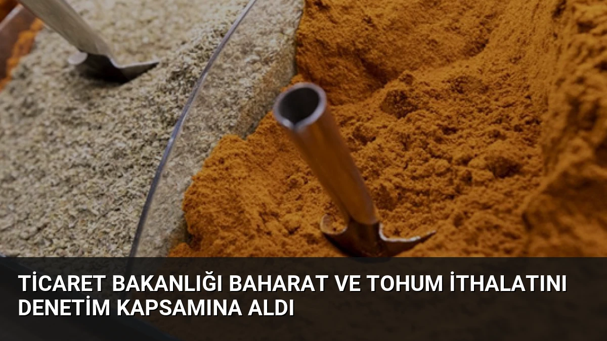 Ticaret Bakanlığı Baharat ve Tohum İthalatını Denetim Kapsamına Aldı