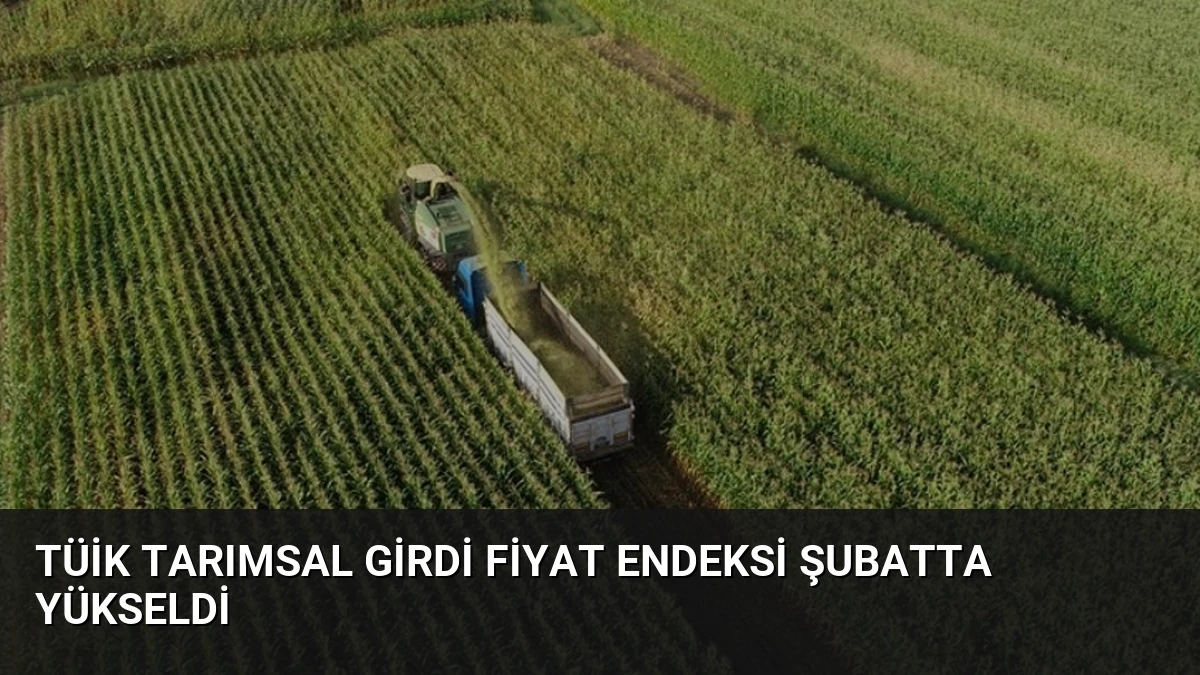 TÜİK Tarımsal Girdi Fiyat Endeksi Şubatta Yükseldi