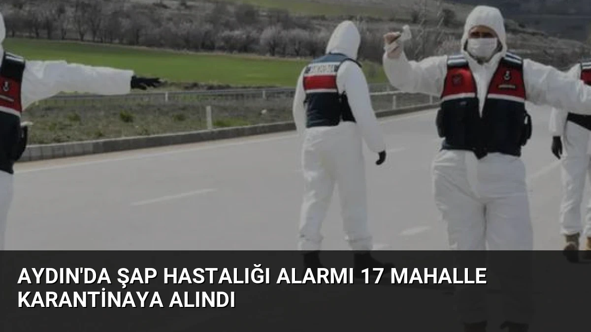 Aydın’da Şap Hastalığı Alarmı 17 Mahalle Karantinaya Alındı