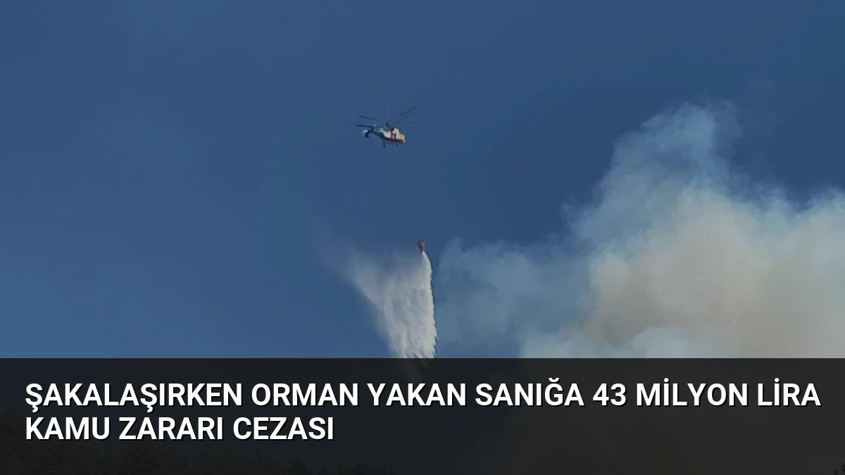 Şakalaşırken Orman Yakan Sanığa 43 Milyon Lira Kamu Zararı Cezası