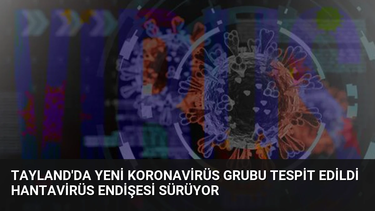 Tayland’da Yeni Koronavirüs Grubu Tespit Edildi Hantavirüs Endişesi Sürüyor