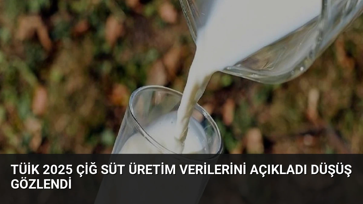 TÜİK 2025 Çiğ Süt Üretim Verilerini Açıkladı Düşüş Gözlendi