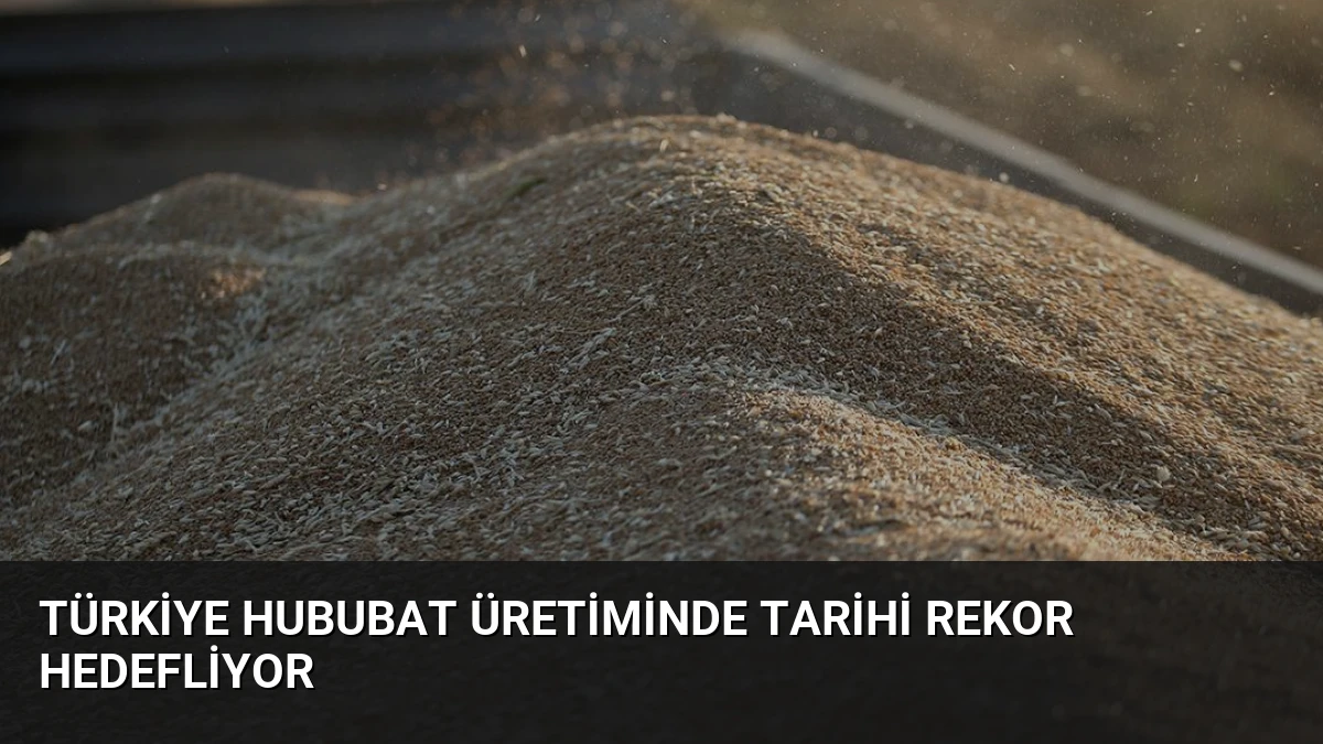 Türkiye Hububat Üretiminde Tarihi Rekor Hedefliyor