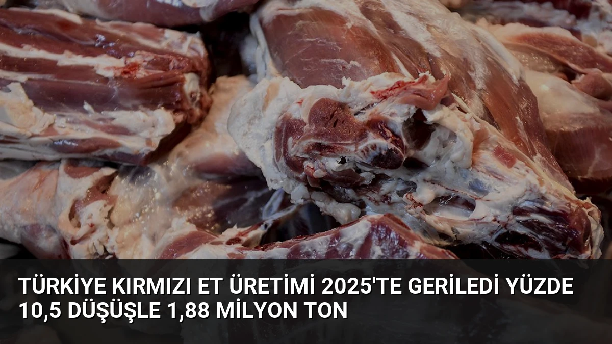 Türkiye Kırmızı Et Üretimi 2025’te Geriledi Yüzde 10,5 Düşüşle 1,88 Milyon Ton