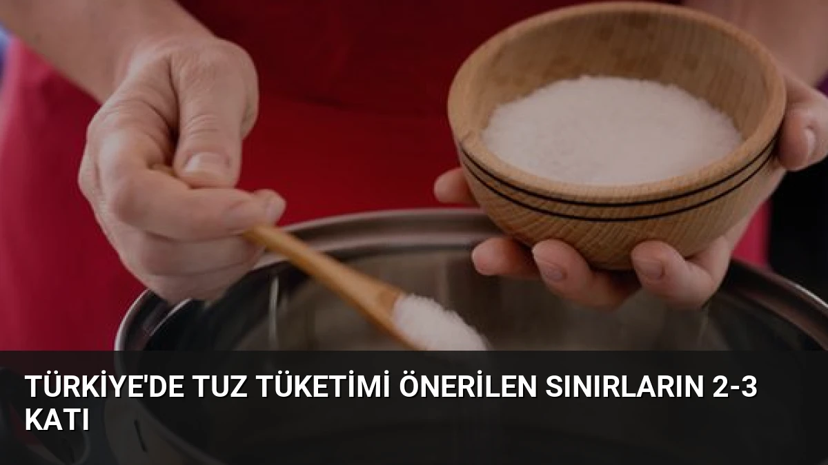 Türkiye’de Tuz Tüketimi Önerilen Sınırların 2-3 Katı