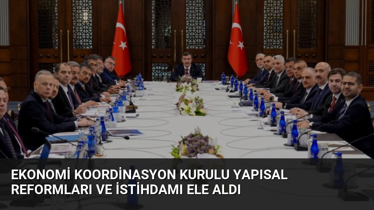 Ekonomi Koordinasyon Kurulu Yapısal Reformları ve İstihdamı Ele Aldı