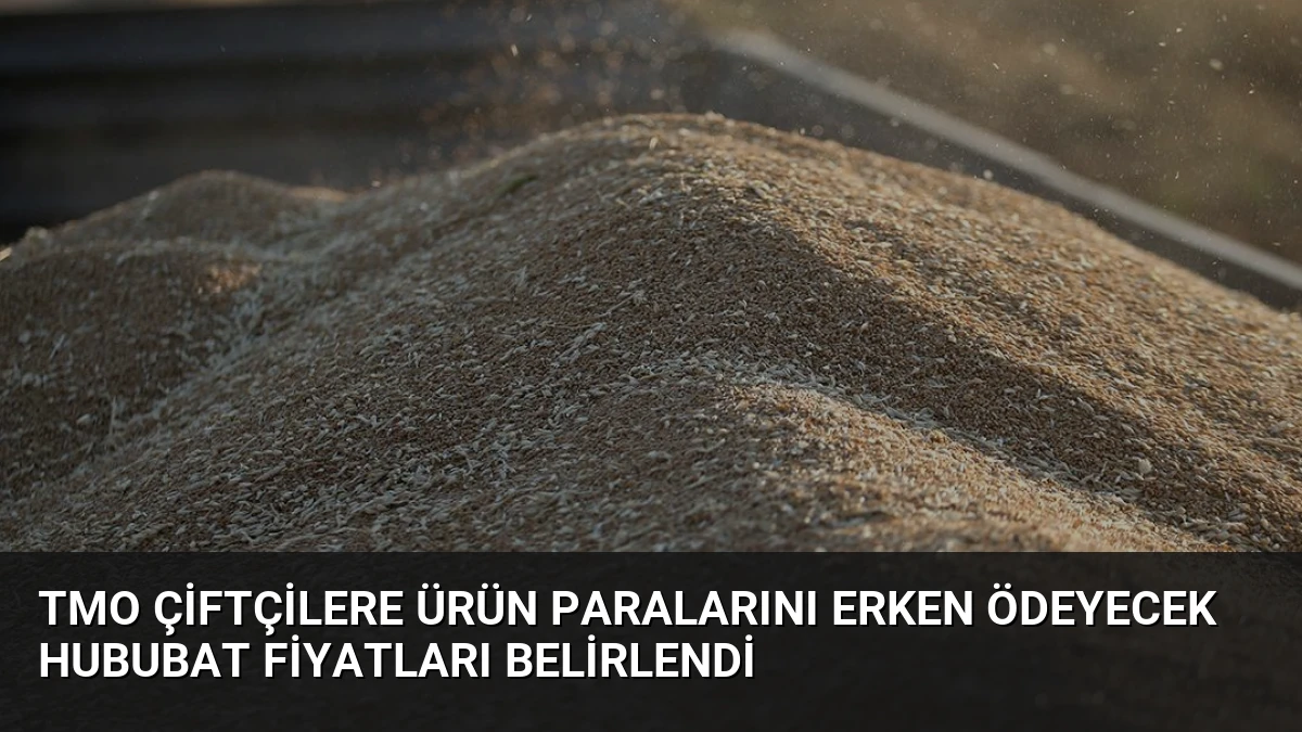 TMO Çiftçilere Ürün Paralarını Erken Ödeyecek Hububat Fiyatları Belirlendi