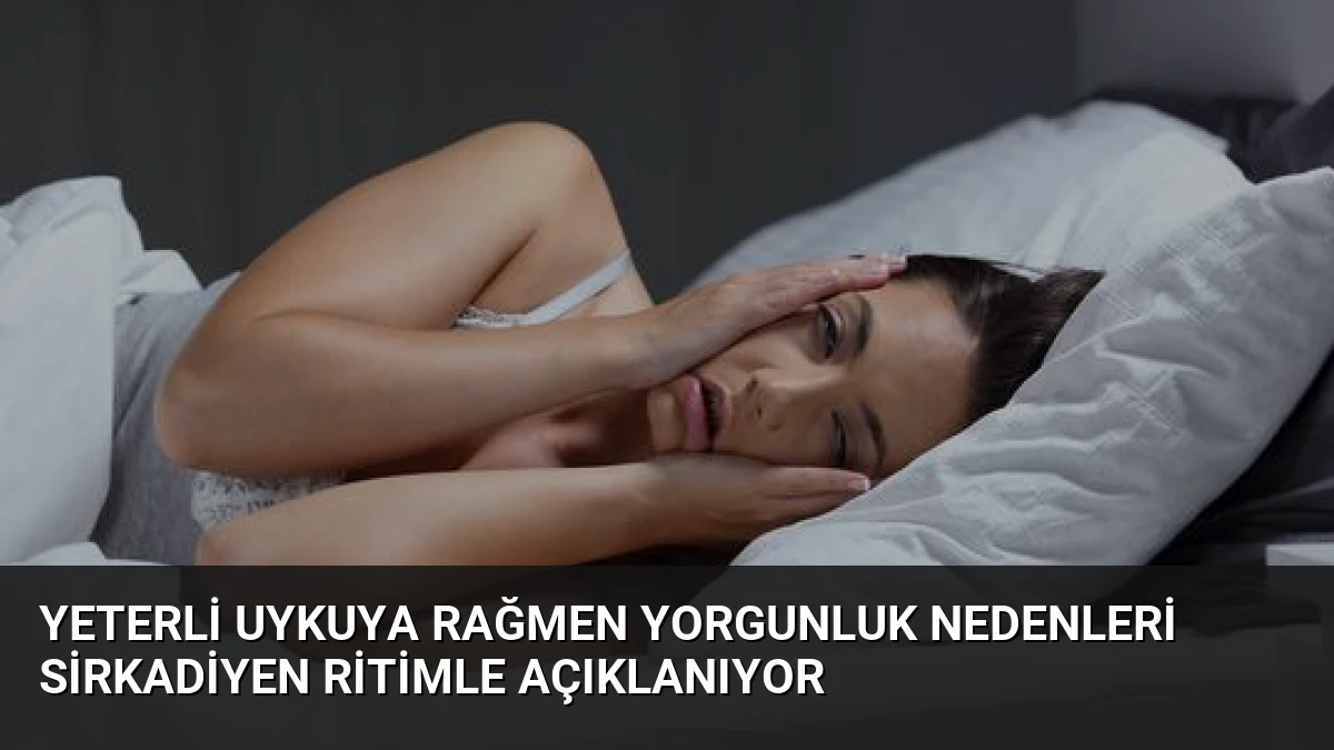 Yeterli Uykuya Rağmen Yorgunluk Nedenleri Sirkadiyen Ritimle Açıklanıyor