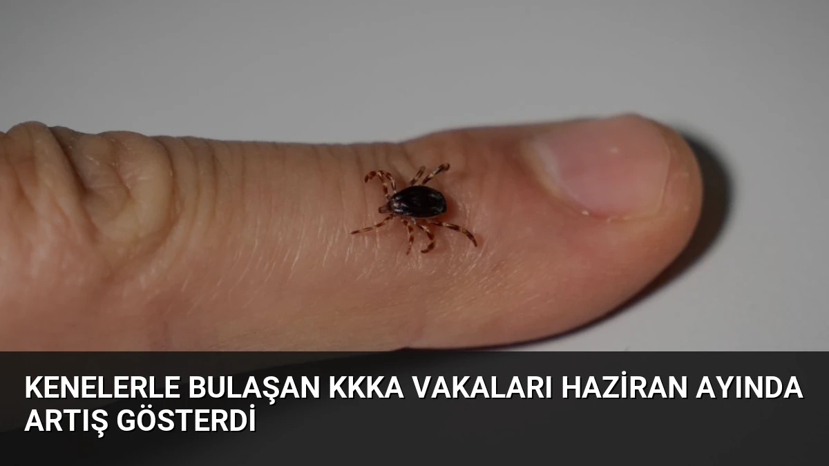 Kenelerle Bulaşan KKKA Vakaları Haziran Ayında Artış Gösterdi