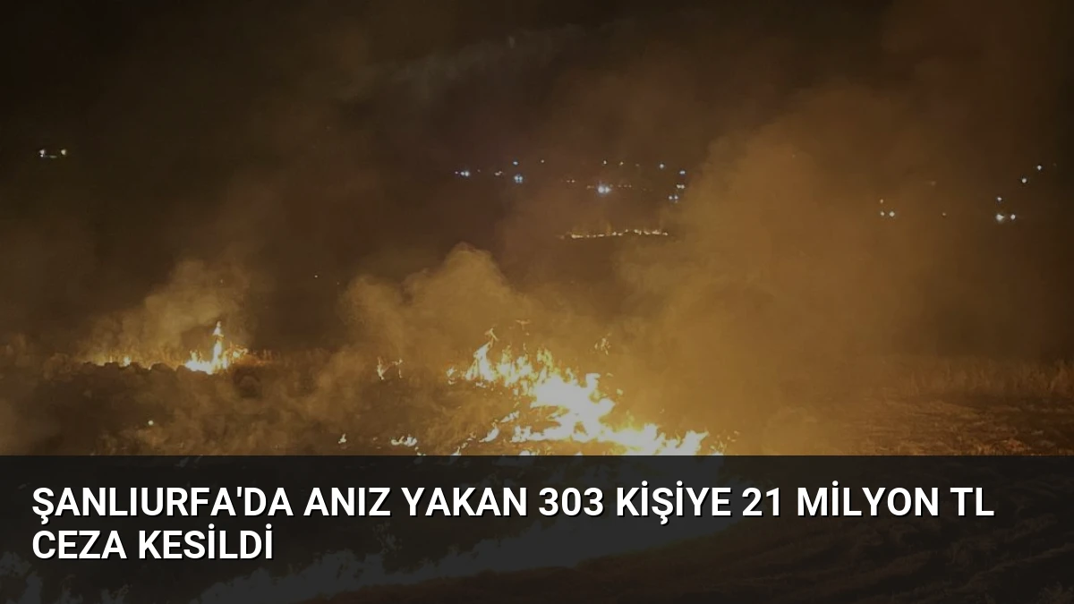 Şanlıurfa’da Anız Yakan 303 Kişiye 21 Milyon TL Ceza Kesildi