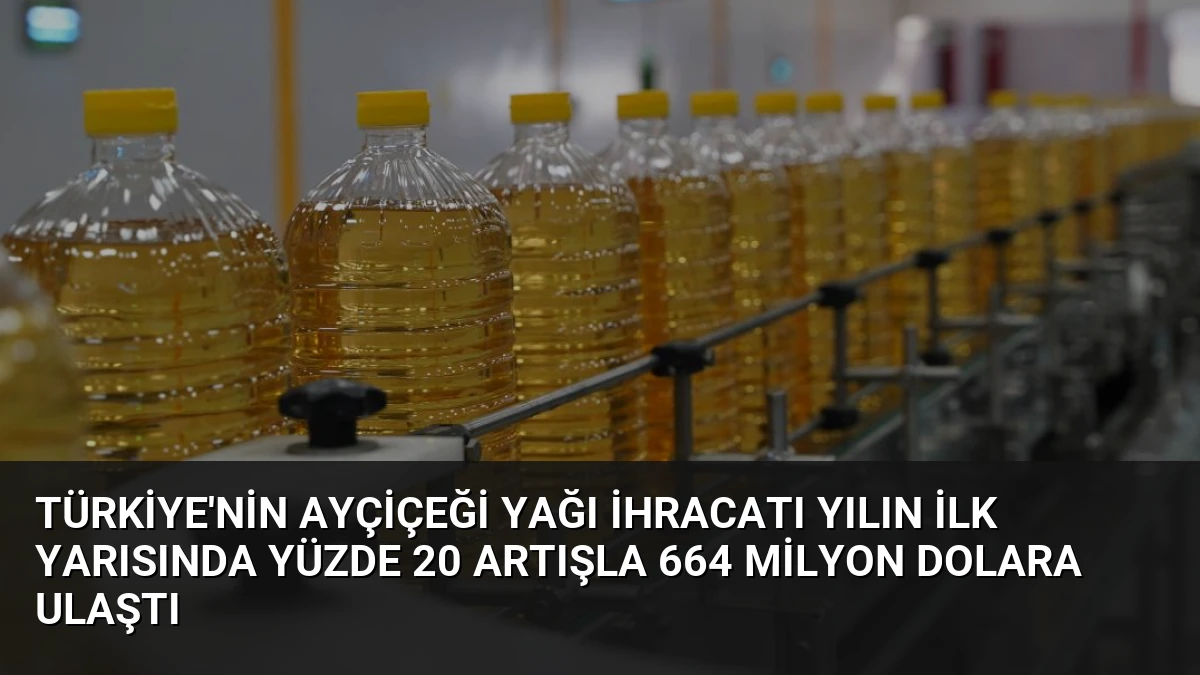 Türkiye’nin Ayçiçeği Yağı İhracatı Yılın İlk Yarısında Yüzde 20 Artışla 664 Milyon Dolara Ulaştı