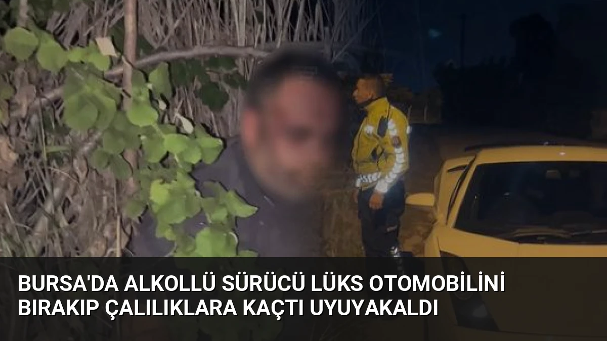 Bursa’da Alkollü Sürücü Lüks Otomobilini Bırakıp Çalılıklara Kaçtı Uyuyakaldı