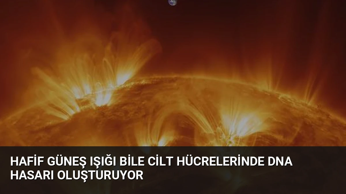 Hafif Güneş Işığı Bile Cilt Hücrelerinde DNA Hasarı Oluşturuyor