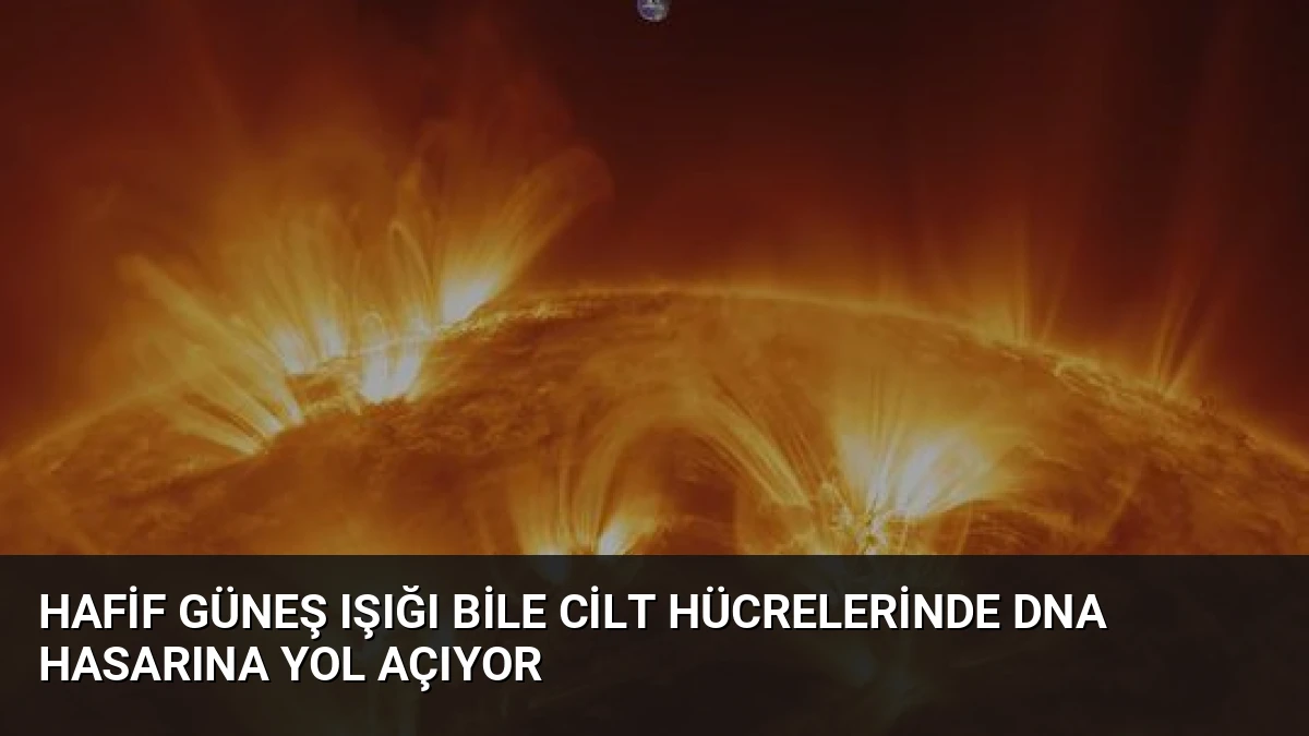 Hafif Güneş Işığı Bile Cilt Hücrelerinde DNA Hasarına Yol Açıyor
