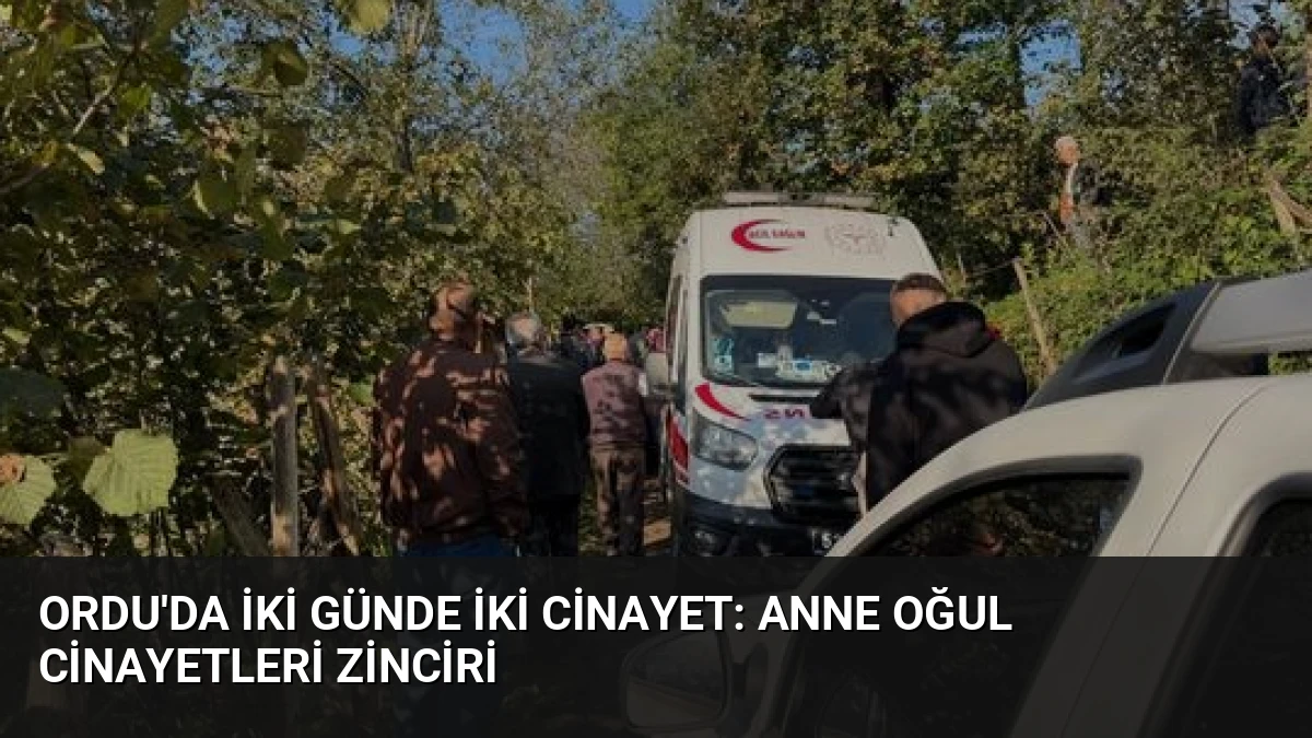 Ordu’da İki Günde İki Cinayet: Anne Oğul Cinayetleri Zinciri