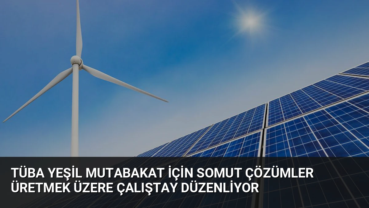TÜBA Yeşil Mutabakat İçin Somut Çözümler Üretmek Üzere Çalıştay Düzenliyor