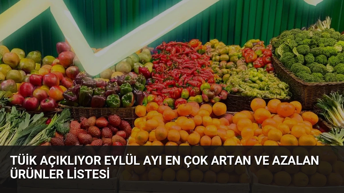 TÜİK Açıklıyor Eylül Ayı En Çok Artan ve Azalan Ürünler Listesi